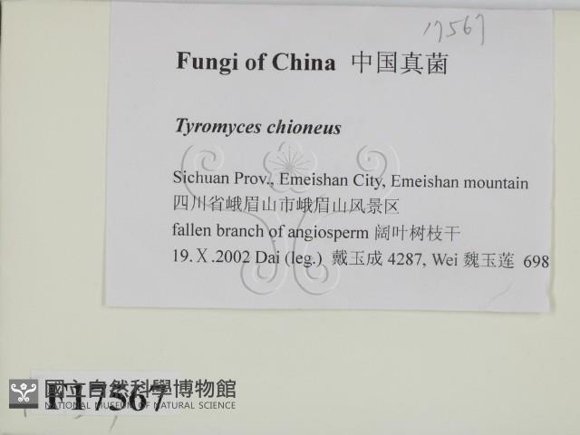 登錄號:F0017567藏品圖，第2張