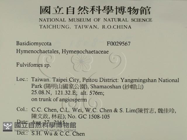 登錄號:F0029567藏品圖，第2張