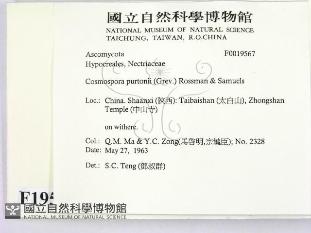 登錄號:F0019567藏品圖，第2張