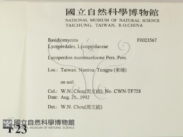 登錄號:F0023567藏品圖，第2張