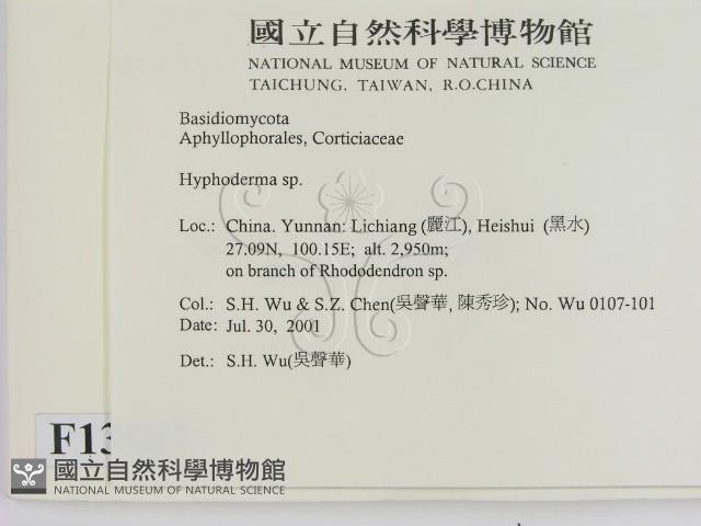 絲皮菌屬藏品圖，第2張