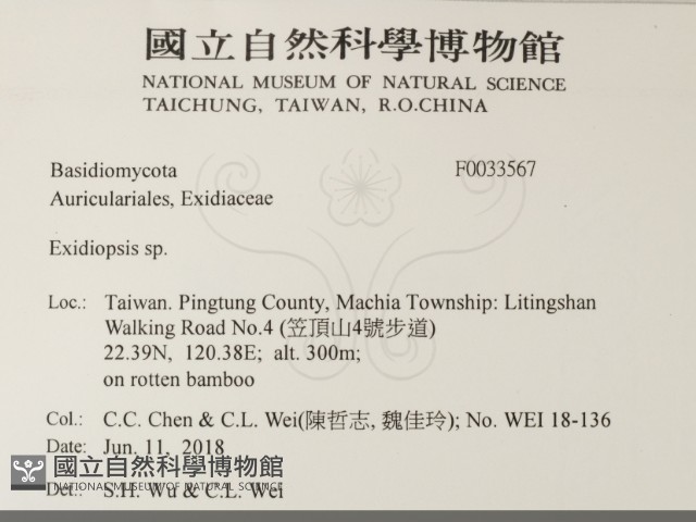 登錄號:F0033567藏品圖，第2張