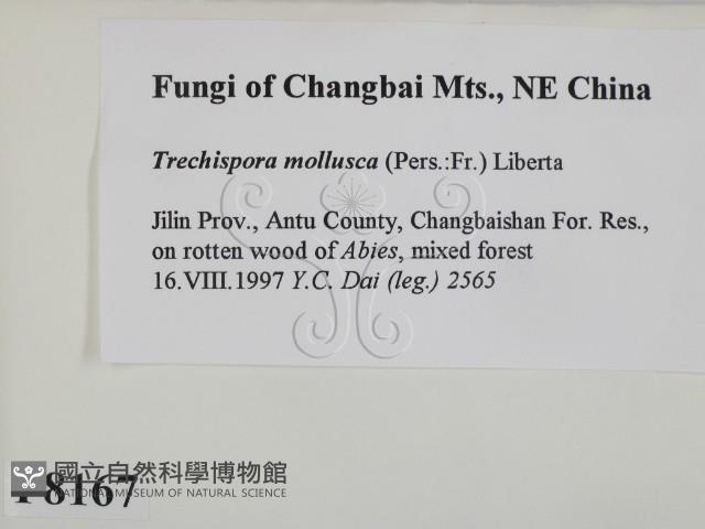 登錄號:F0008167藏品圖，第2張