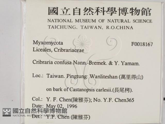 登錄號:F0018167藏品圖，第2張