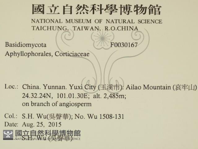 登錄號:F0030167藏品圖，第2張