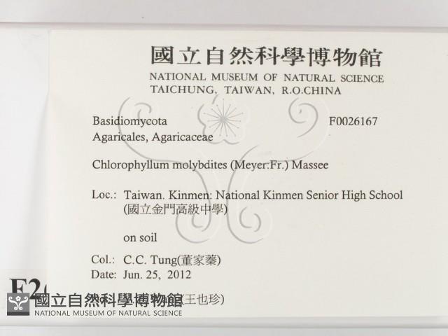 登錄號:F0026167藏品圖，第2張