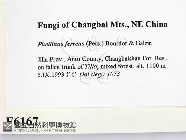 登錄號:F0006167藏品圖，第2張