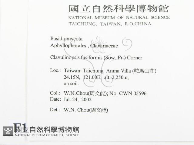 登錄號:F0016167藏品圖，第2張