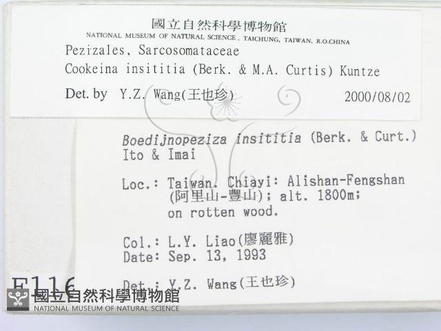 登錄號:F0001167藏品圖，第2張