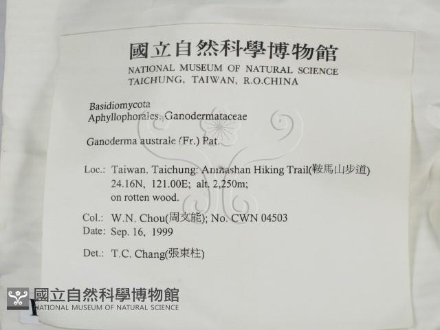 登錄號:F0014167藏品圖，第2張