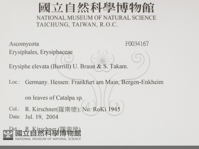登錄號:F0034167藏品圖，第2張