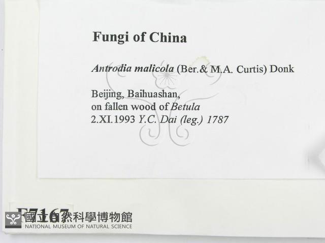 登錄號:F0007167藏品圖，第2張