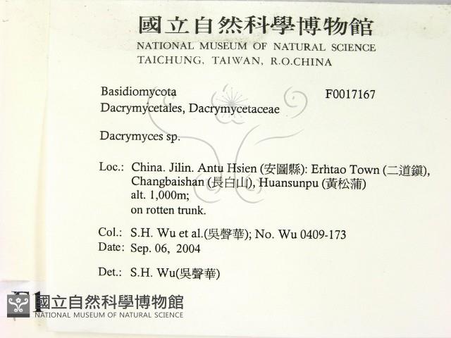 花耳屬藏品圖，第2張