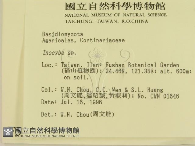 登錄號:F0005167藏品圖，第2張