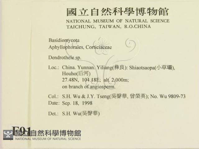 登錄號:F0009167藏品圖，第2張