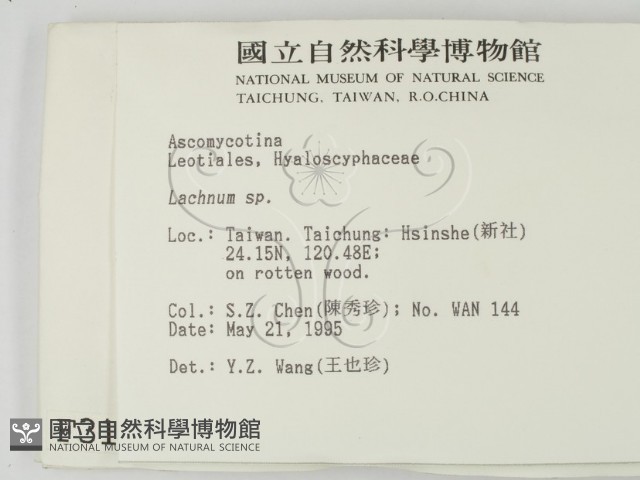 登錄號:F0003167藏品圖，第2張