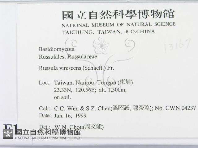 登錄號:F0013167藏品圖，第2張