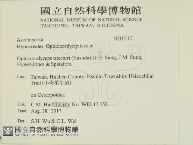 登錄號:F0033167藏品圖，第2張
