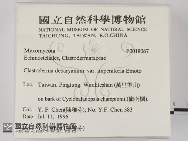登錄號:F0018067藏品圖，第2張