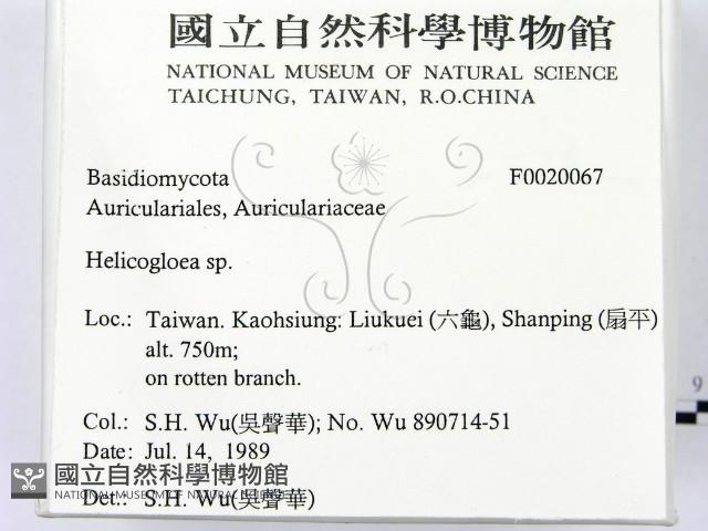 登錄號:F0020067藏品圖，第2張