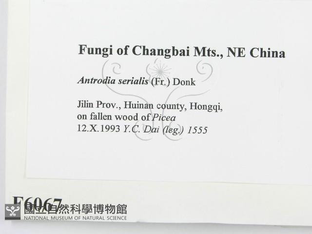 登錄號:F0006067藏品圖，第2張