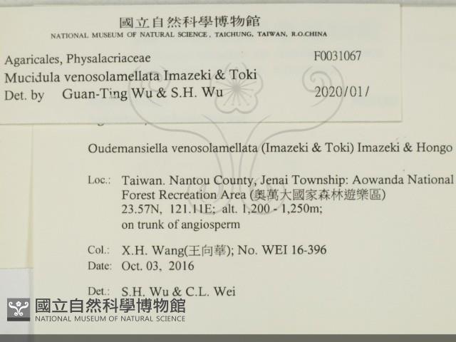 登錄號:F0031067藏品圖，第2張