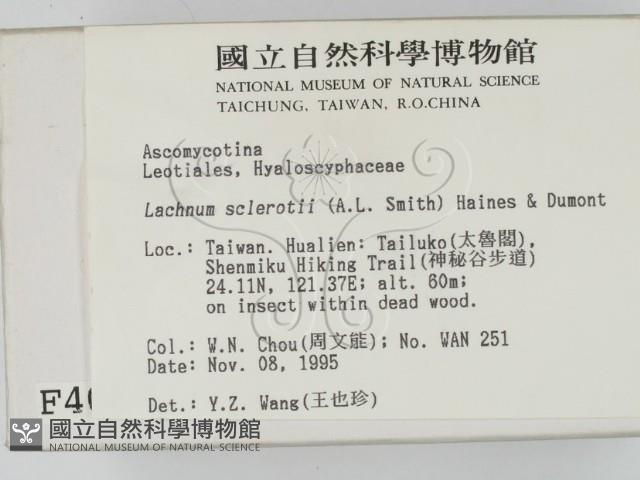 登錄號:F0004067藏品圖，第2張