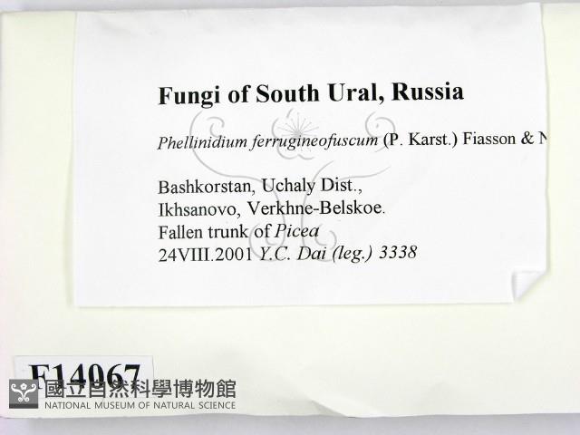 登錄號:F0014067藏品圖，第2張