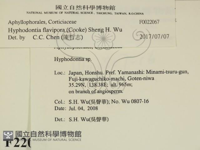 登錄號:F0022067藏品圖，第2張