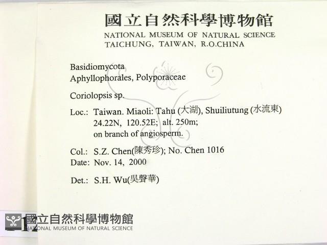 登錄號:F0012067藏品圖，第2張