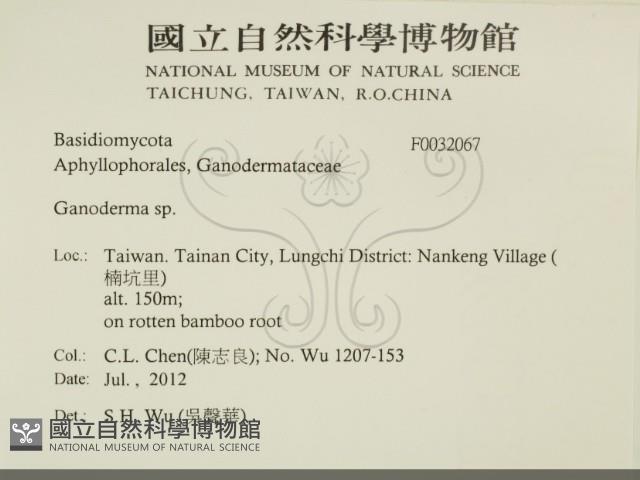 登錄號:F0032067藏品圖，第2張