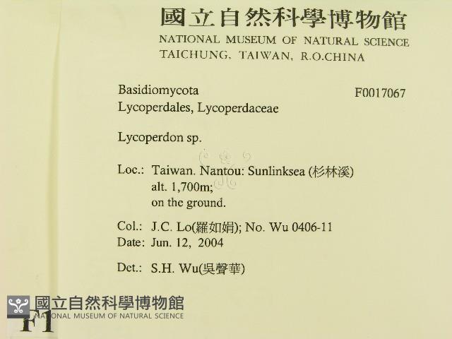 登錄號:F0017067藏品圖，第2張
