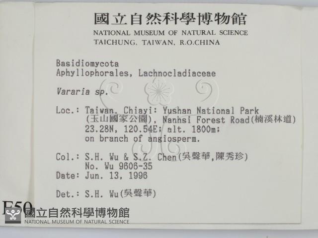 登錄號:F0005067藏品圖，第2張