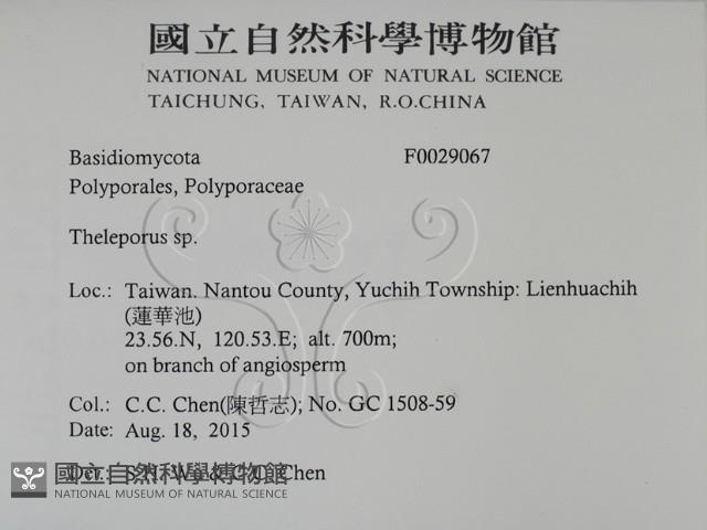 登錄號:F0029067藏品圖，第2張