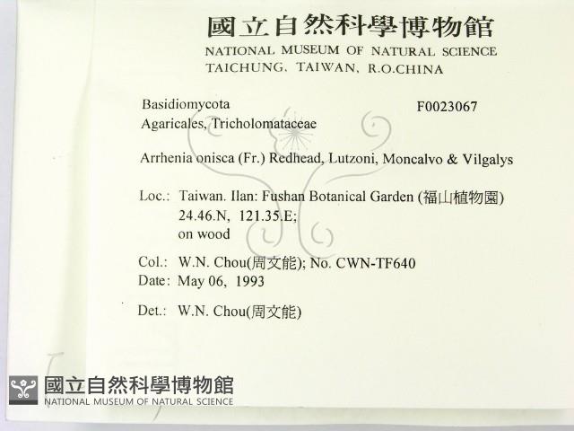 登錄號:F0023067藏品圖，第2張