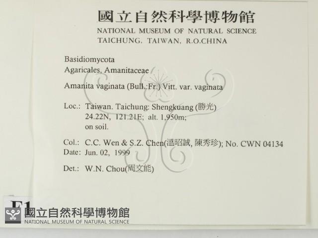 登錄號:F0013067藏品圖，第2張