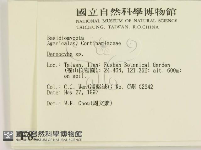 登錄號:F0008367藏品圖，第2張