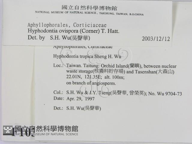 登錄號:F0010367藏品圖，第2張