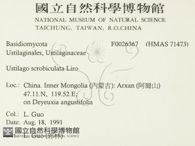 登錄號:F0026367藏品圖，第2張