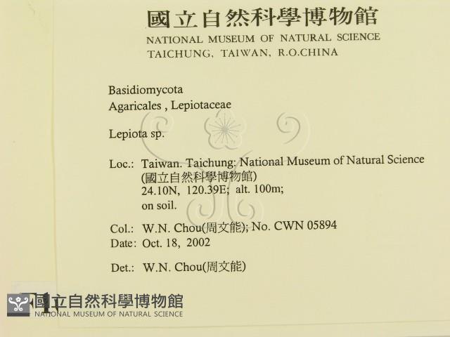 登錄號:F0016367藏品圖，第2張