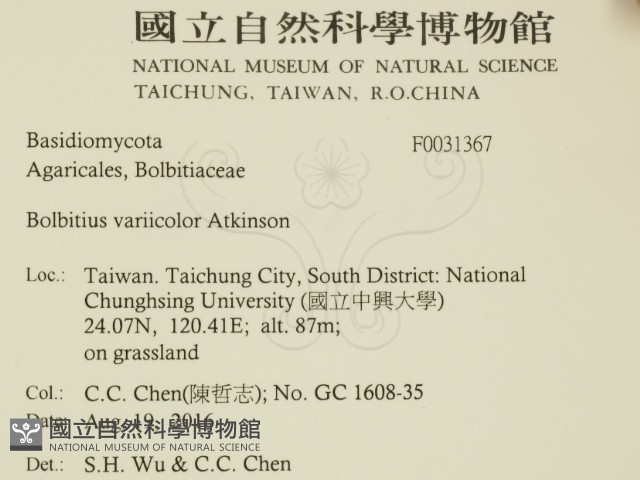 登錄號:F0031367藏品圖，第2張