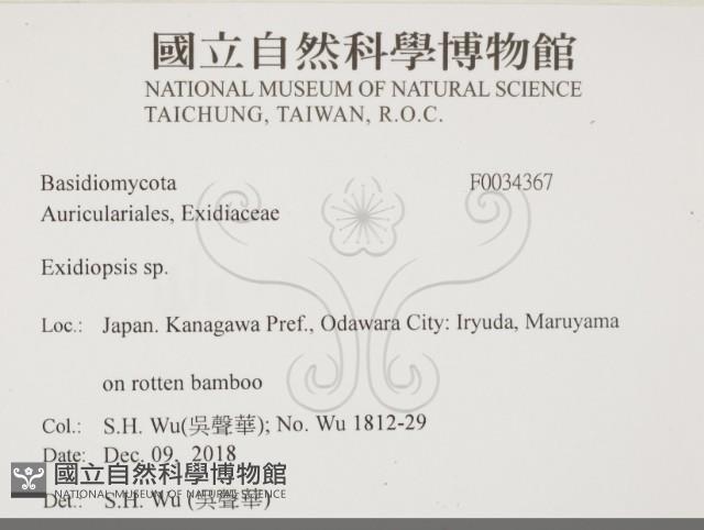 登錄號:F0034367藏品圖，第2張