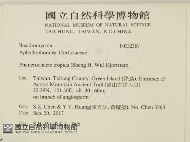 登錄號:F0032367藏品圖，第2張