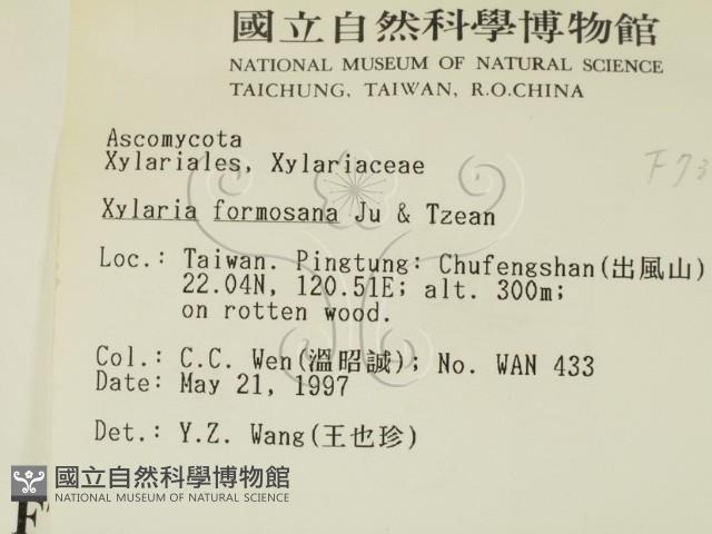 登錄號:F0007367藏品圖，第2張