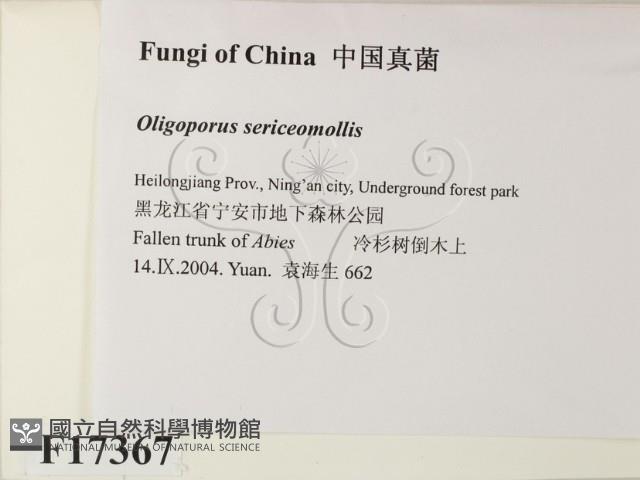 登錄號:F0017367藏品圖，第2張