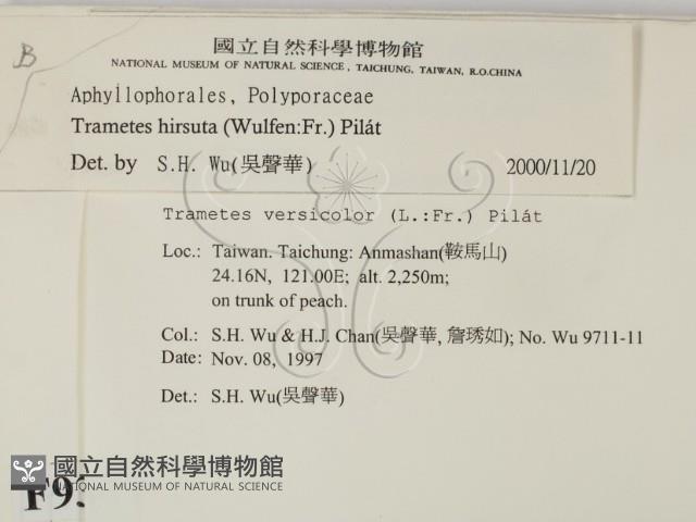 登錄號:F0009367藏品圖，第2張