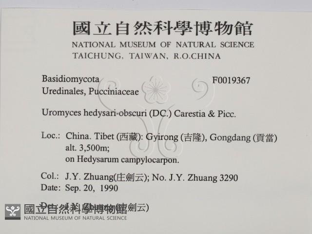 登錄號:F0019367藏品圖，第2張
