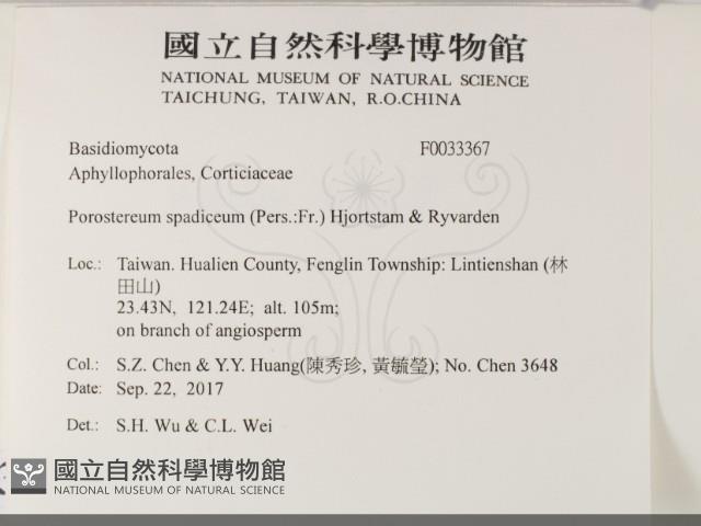 登錄號:F0033367藏品圖，第2張