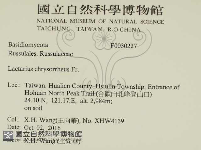 登錄號:F0030227藏品圖，第2張