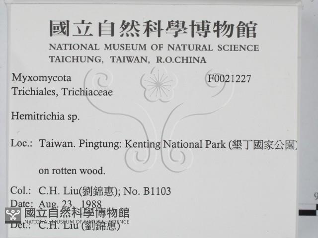 登錄號:F0021227藏品圖，第2張